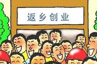 农民不想再外出打工了，手里攒了10万，做什么创业项目好呢？